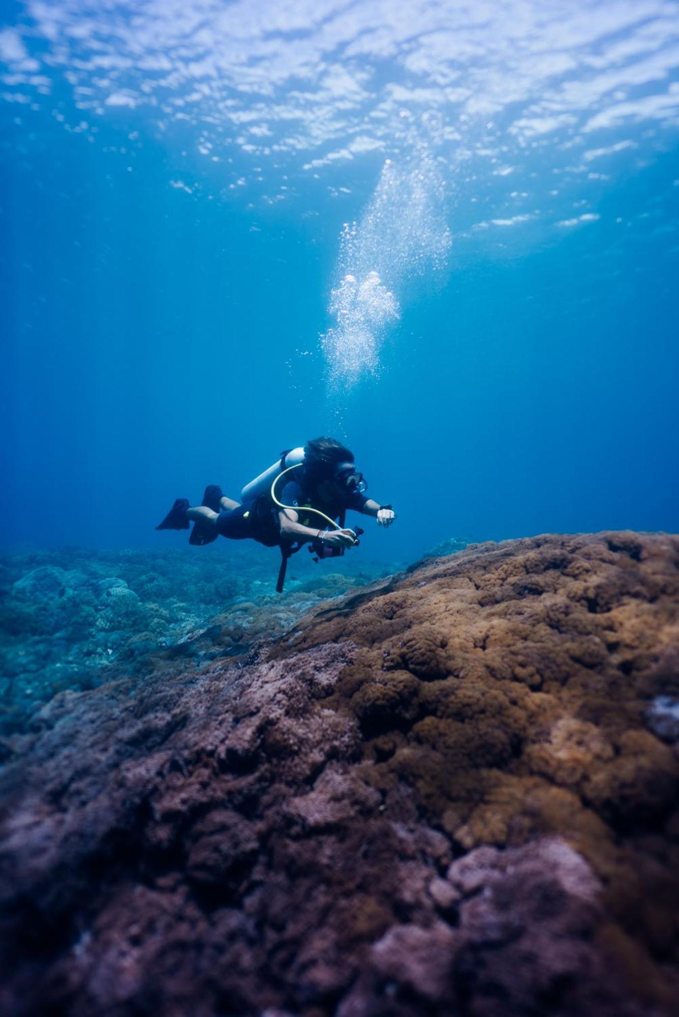 Deep Roots Dive & Yoga Resort Ped エクステリア 写真